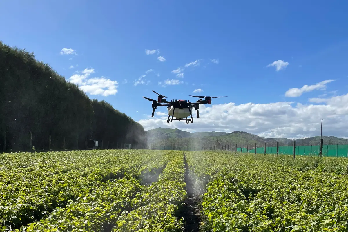 XAG P100 spraying crops