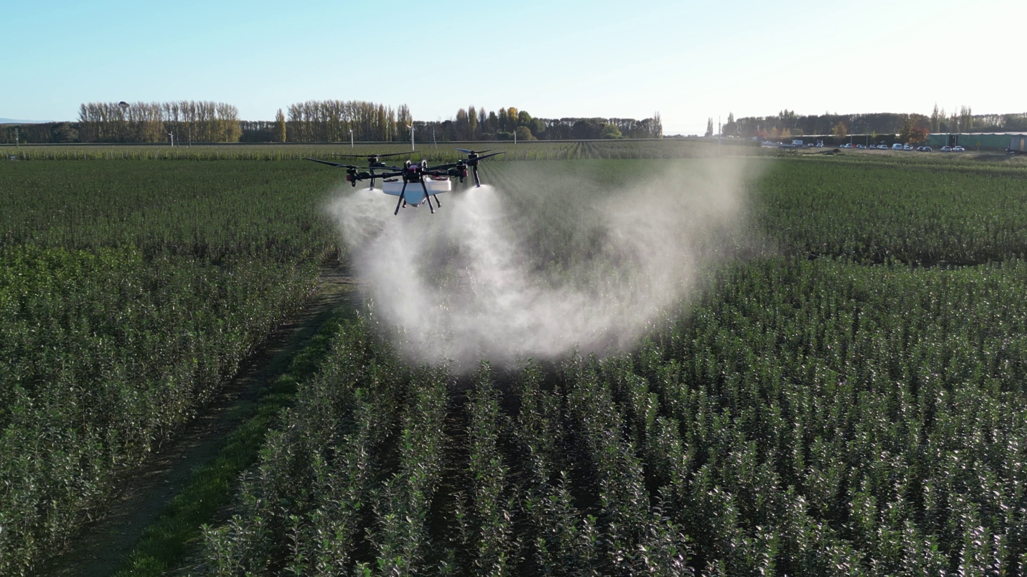 High Water Rate Fungicide