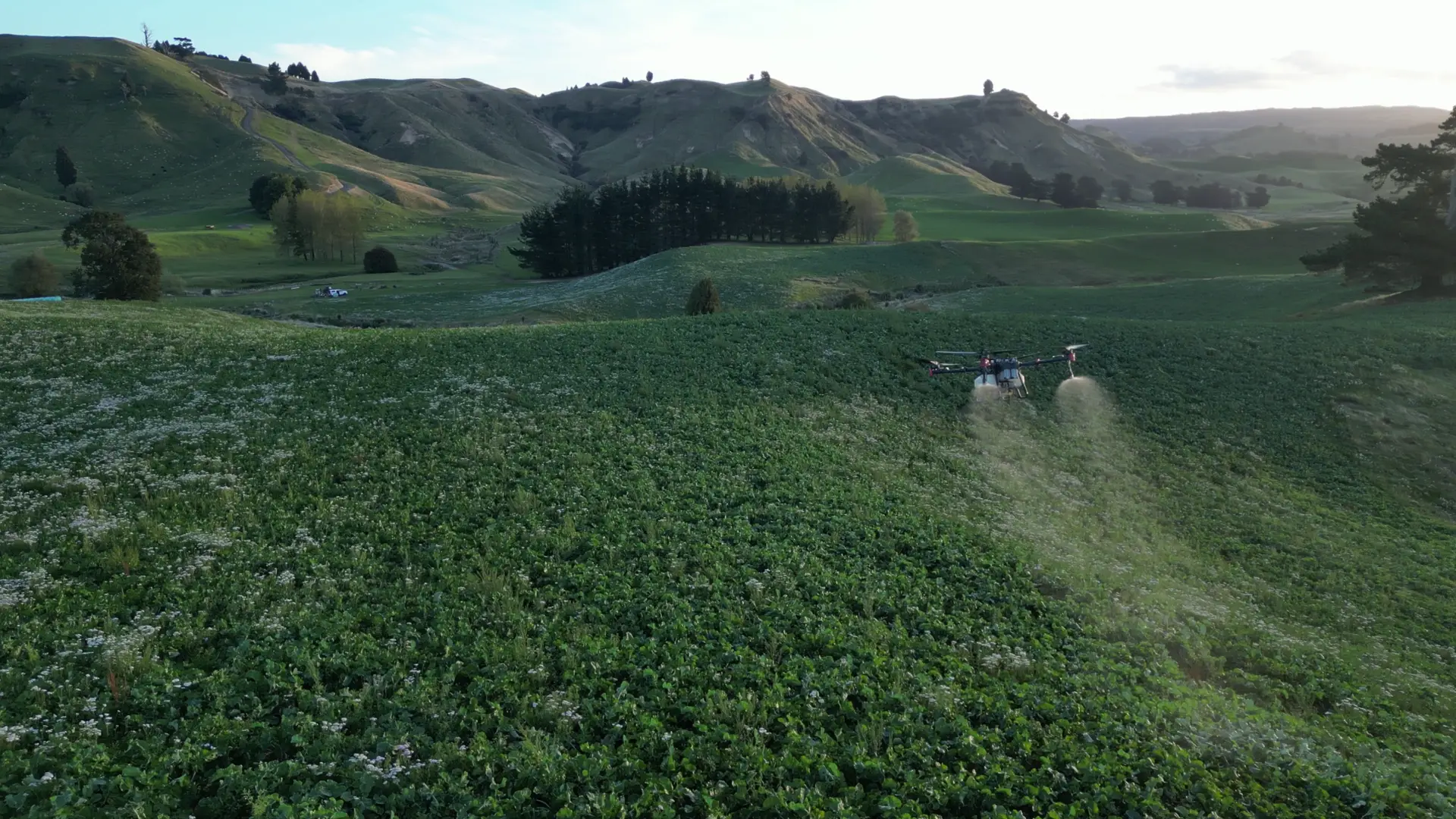 Rolling Country Insecticide