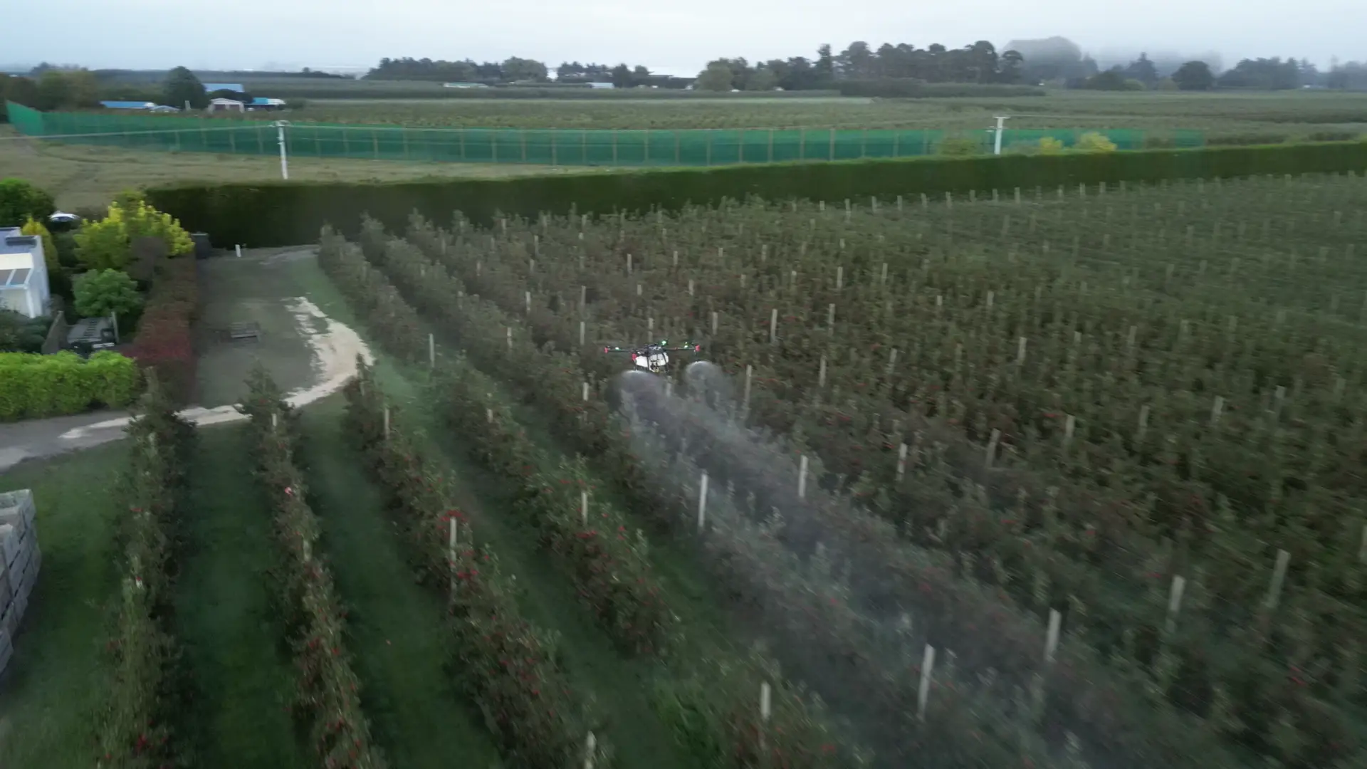 Orchard Fungicide & Harvesta
