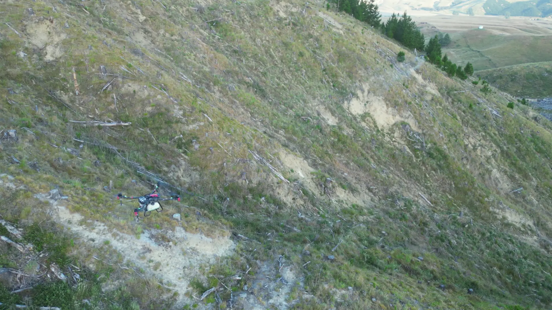 Dual Drone Forestry