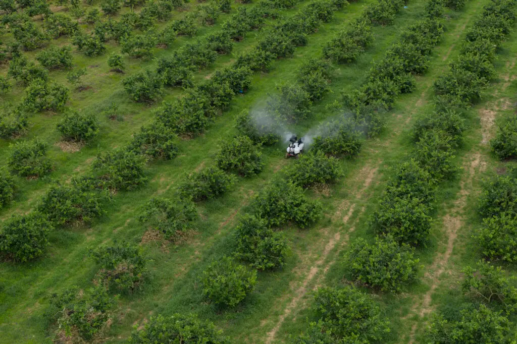 XAG R200 Agricultural Rover spraying in an orchard